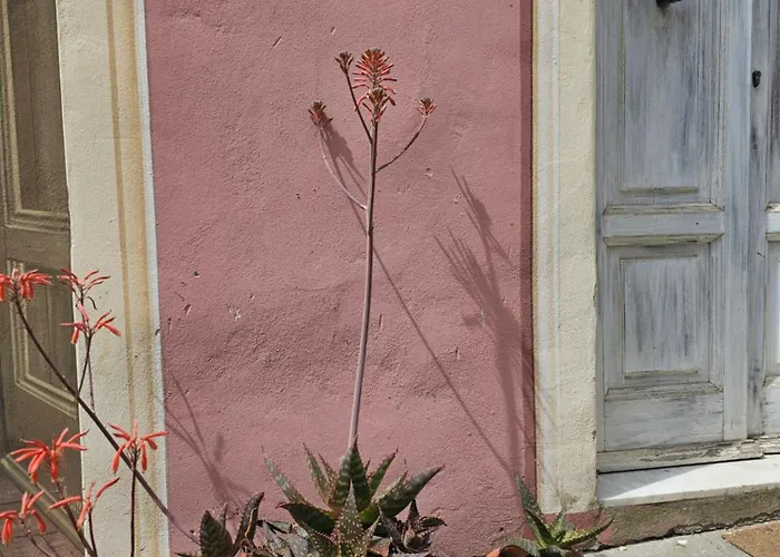 Dimora Rose